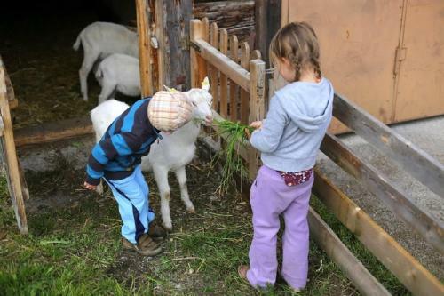Apartamento Farm Resort Geislerhof
