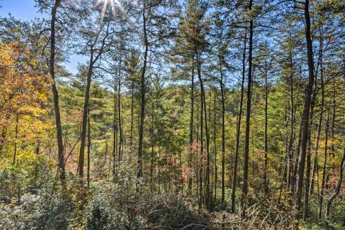 Private Mountain Retreat - 5 Minutes To Blue Ridge