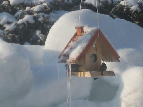 Apartamento Ferienhaus Steger Maria