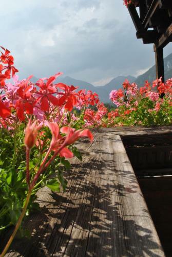 Hostal Gasthof Panorama