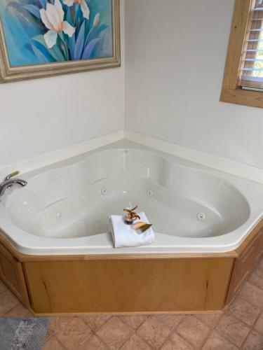 Great Place To Relax
