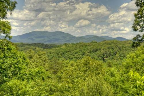 Bear Ridge Hideaway- Secluded Mtn View
