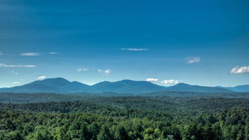A Beary Nice View By Escape To Blue Ridge