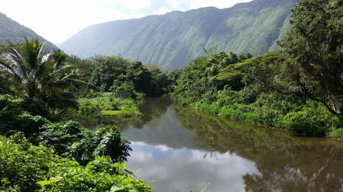 Hale Pikonia In Historic Honokaa Town Home