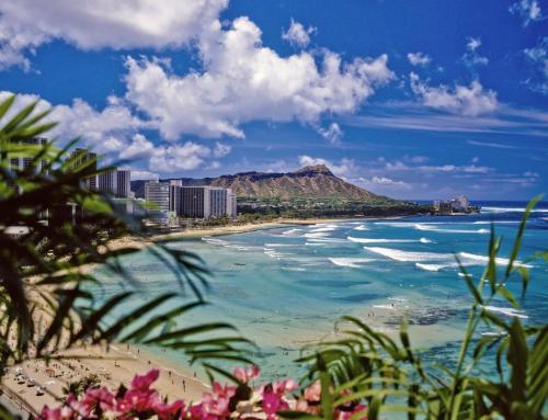 Hawaiian Monarch - Ocean-view Corner Unit With Pool Hotel Room