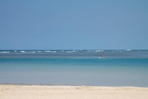 Ala Moana Condominium (ah917)