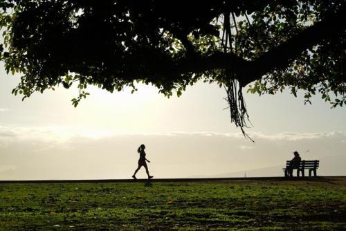 Ala Moana Condominium (ah917)