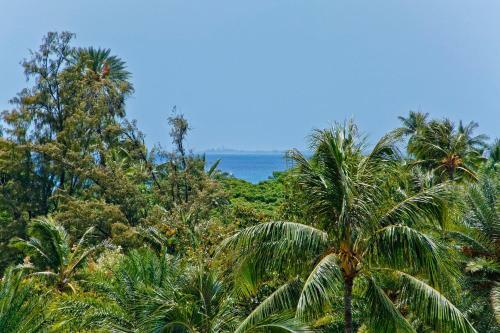 Regency On Beachwalk #71