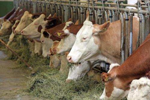 Agroturismo Biobauernhof Vorderm�hltal