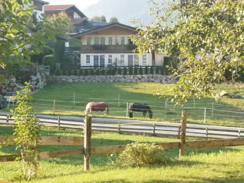Agroturismo Maurerhof Itter