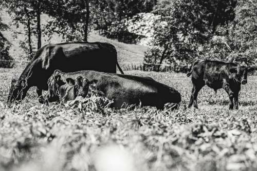 Posada Gasthaus H�usling Alm