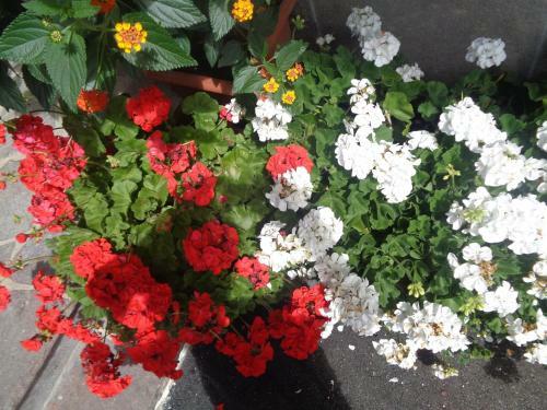 Apartamento Appartement Unterberger