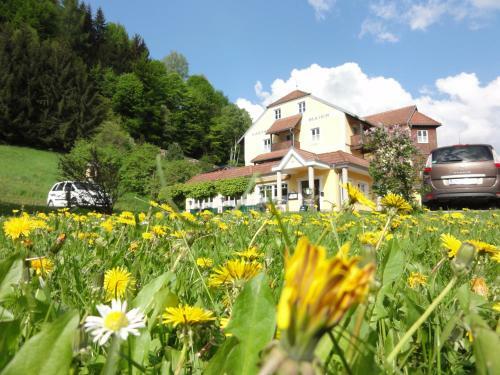 Hotel Familiengasthof Maier
