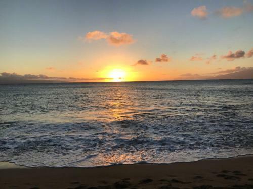 Maui Westside: Konea 1024/1026