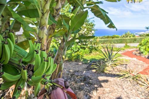 Apartamento Sunny Kailua-kona Studio With Large Oceanview Balcony