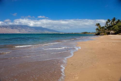 Kihei Bay Vista #d-202