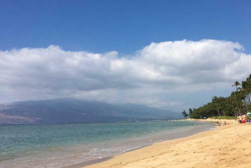 Waiohuli Beach Hale #d-117