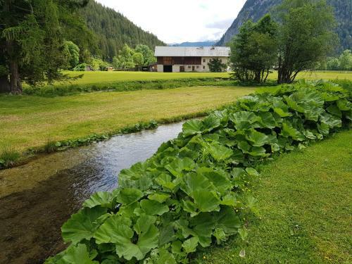 Apartamento Landhaus Alpenblick