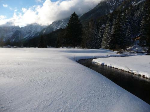 Apartamento Landhaus Alpenblick