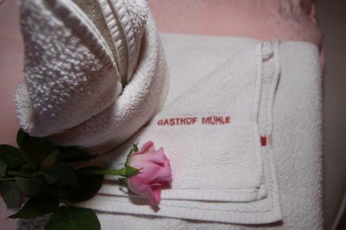 Posada Gasthof Zur M�hle