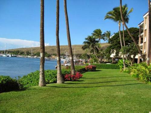 Maalaea Yacht Marina #104