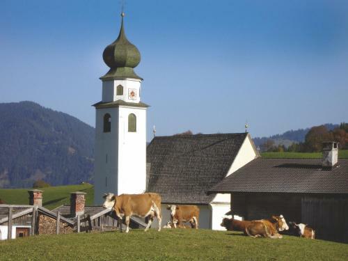 Hotel Gasthof Almhof
