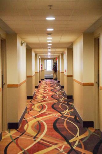 Motel Dutch Inn And Suites