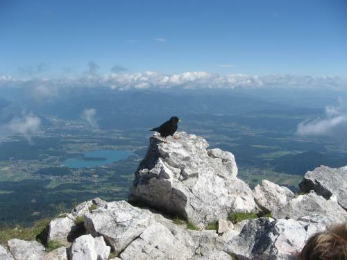 Apartamento Seppis Ferienhof