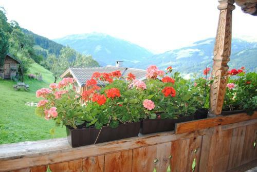 Apartamento Ferienwohnung Siedler