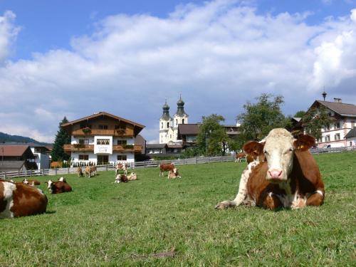 Apartamentos Landhaus Tirol