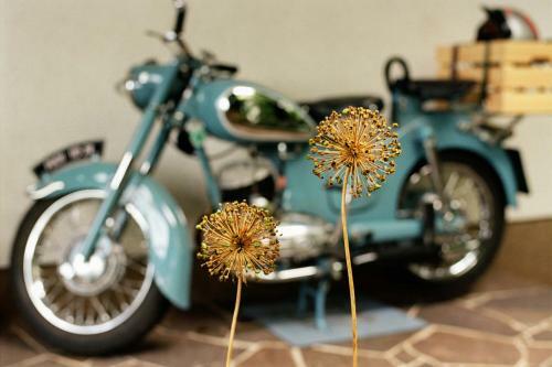 Hostal Landhaus Alfred Wunder