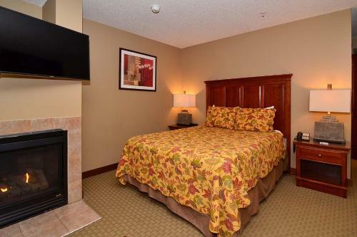 Hotel A118 - Studio Suite With Standard View, Sleeps 4, Has A Fireplace!