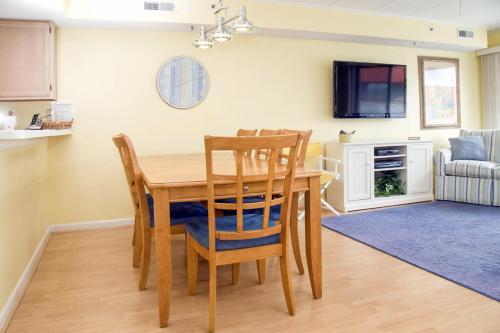 Triton's Trumpet C504