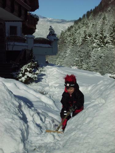 Alpenapart Walch