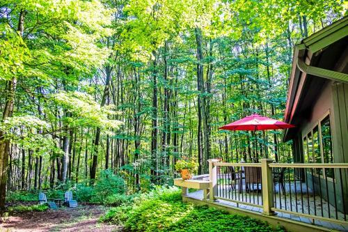 Birchwood: Scenic Sanctuary
