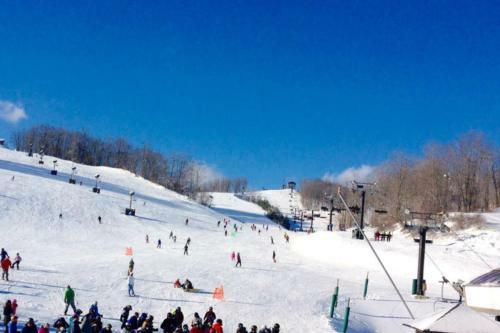 Wintergreen Condos