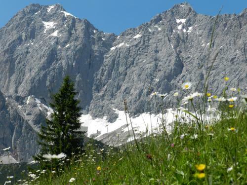Wander- & Landhotel Kanzler