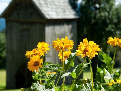 Agroturismo Reithartlhof