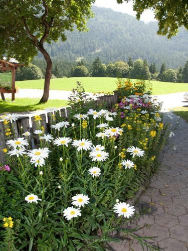 Agroturismo Reithartlhof