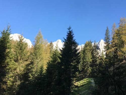 Apartamento Ferienwohnung Sz�ky