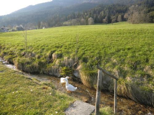 Agroturismo Bunzbauernhof