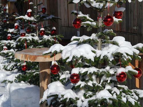 Bed & Breakfast Fr�hst�ckspension Sonnenhof