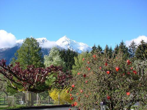 Schlank Schlemmer Hotel K�rschner
