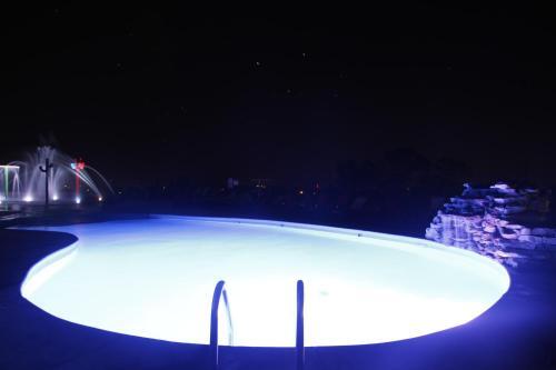 Condo 313