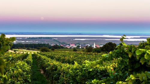 Hostal Weingut Franz Schindler