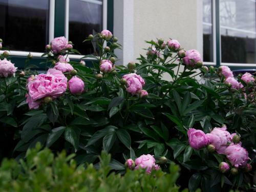 Hotel Landhaus Pannonia