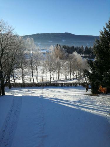 Apartamento Appartementhaus Novak