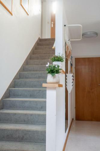 Apartamento Ferienwohnung Meliessnig