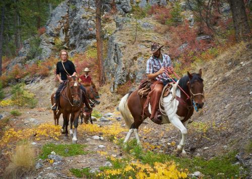 Bear Creek Lodge Ii, Llc