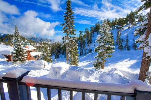 Stage Coach Run By Lake Tahoe Accommodations